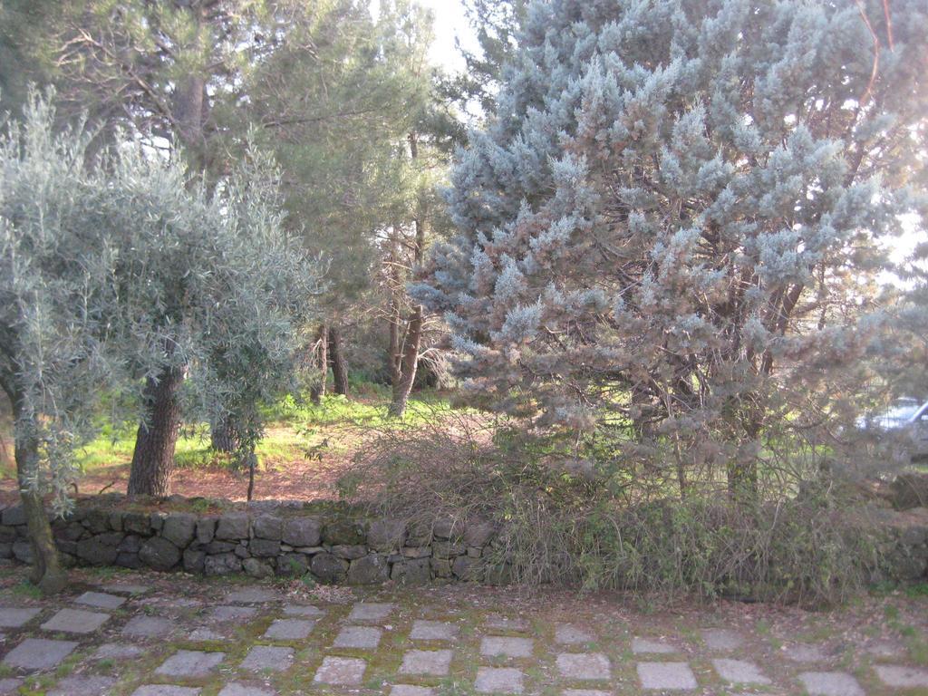 Santa Maria di LicodiaLa Casa Del Cavaliere别墅 客房 照片
