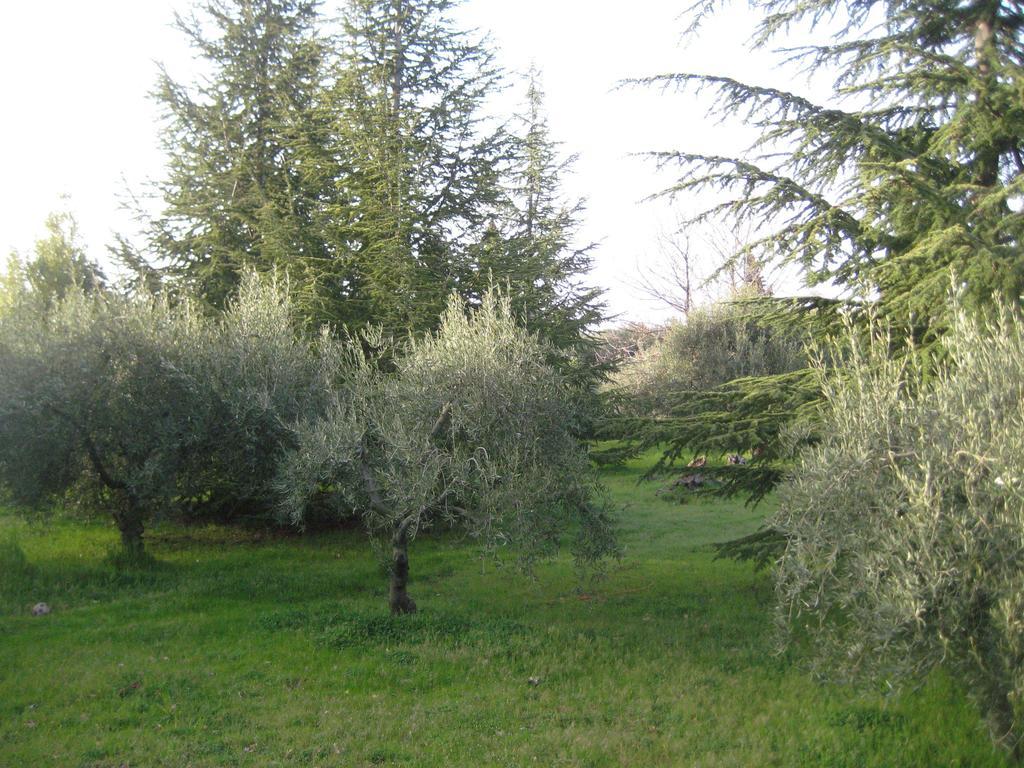 Santa Maria di LicodiaLa Casa Del Cavaliere别墅 客房 照片